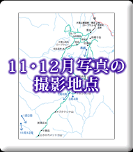 11E12̎ʐ^̎Ben_