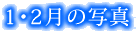 1E2̎ʐ^