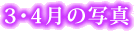 3E4̎ʐ^