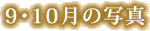 9�E10���̎ʐ^