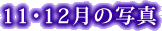 11E12̎ʐ^
