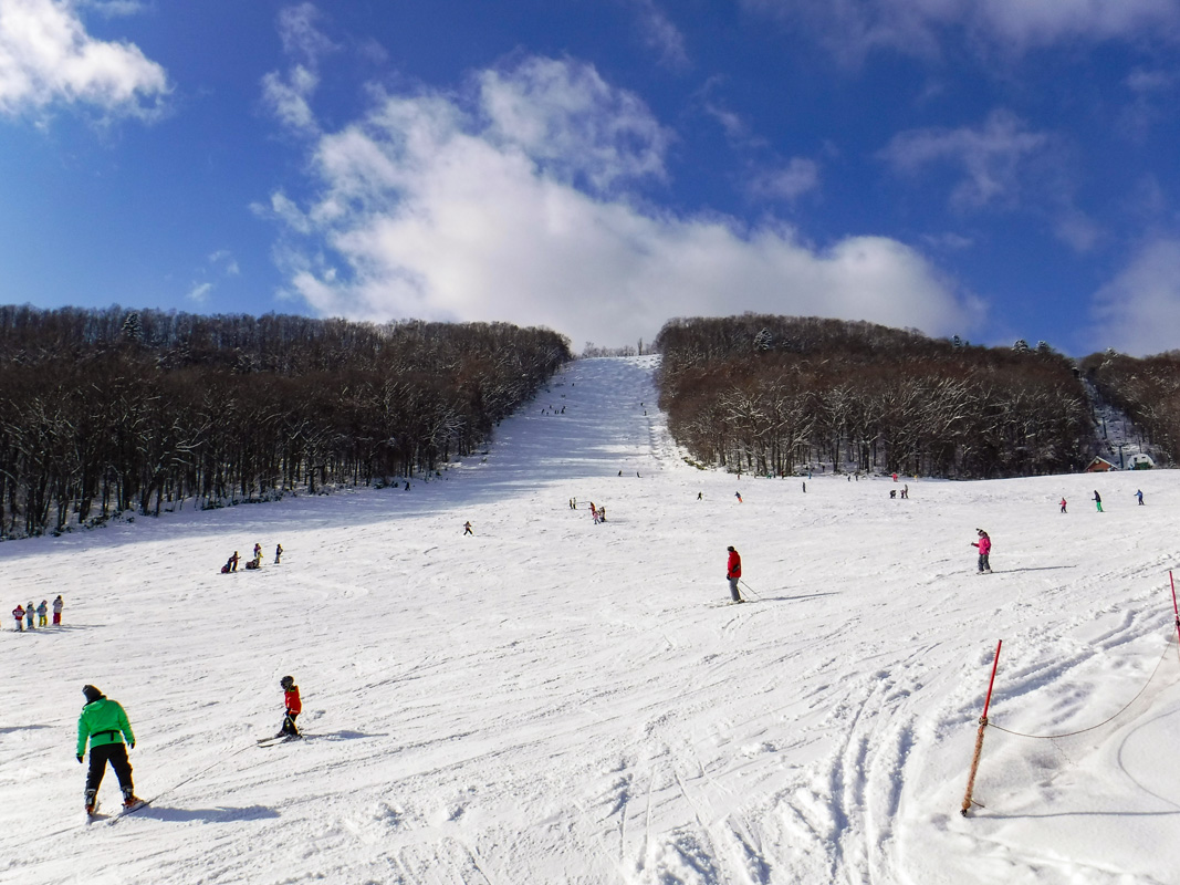 公式】札幌藻岩山スキー場 | 札幌駅から車で30分、市街地から一番近いスキー場