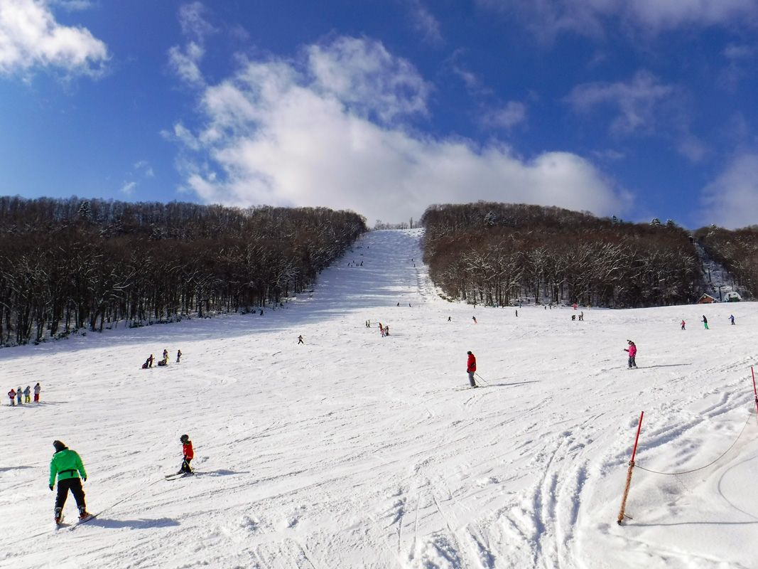 札幌藻岩山スキー場 札幌駅から車で30分、市街地から一番近いスキー場